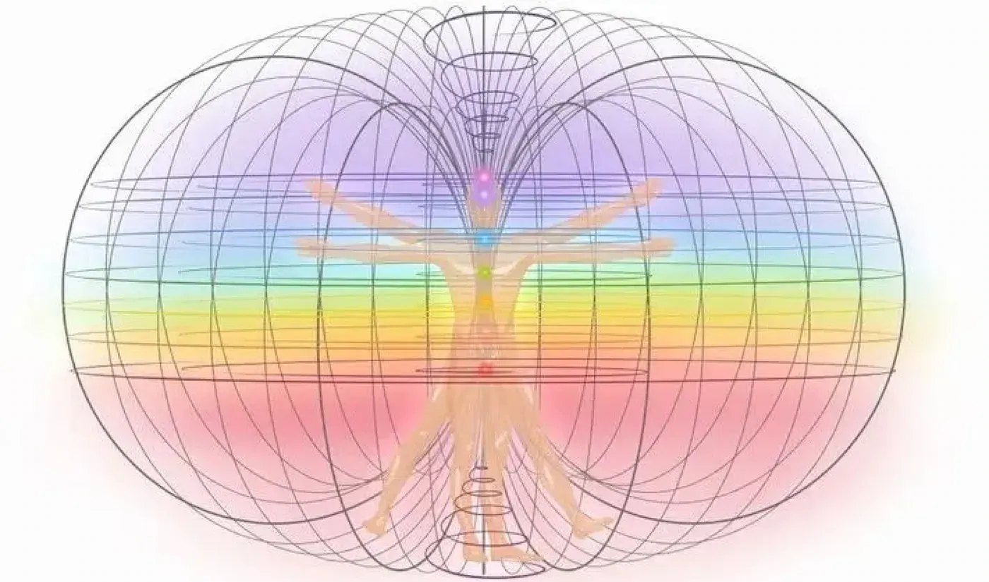 Toroidal Field Pattern The Torus & Toroidal Field: Sacred Geometry & the Blueprint of Creation ...